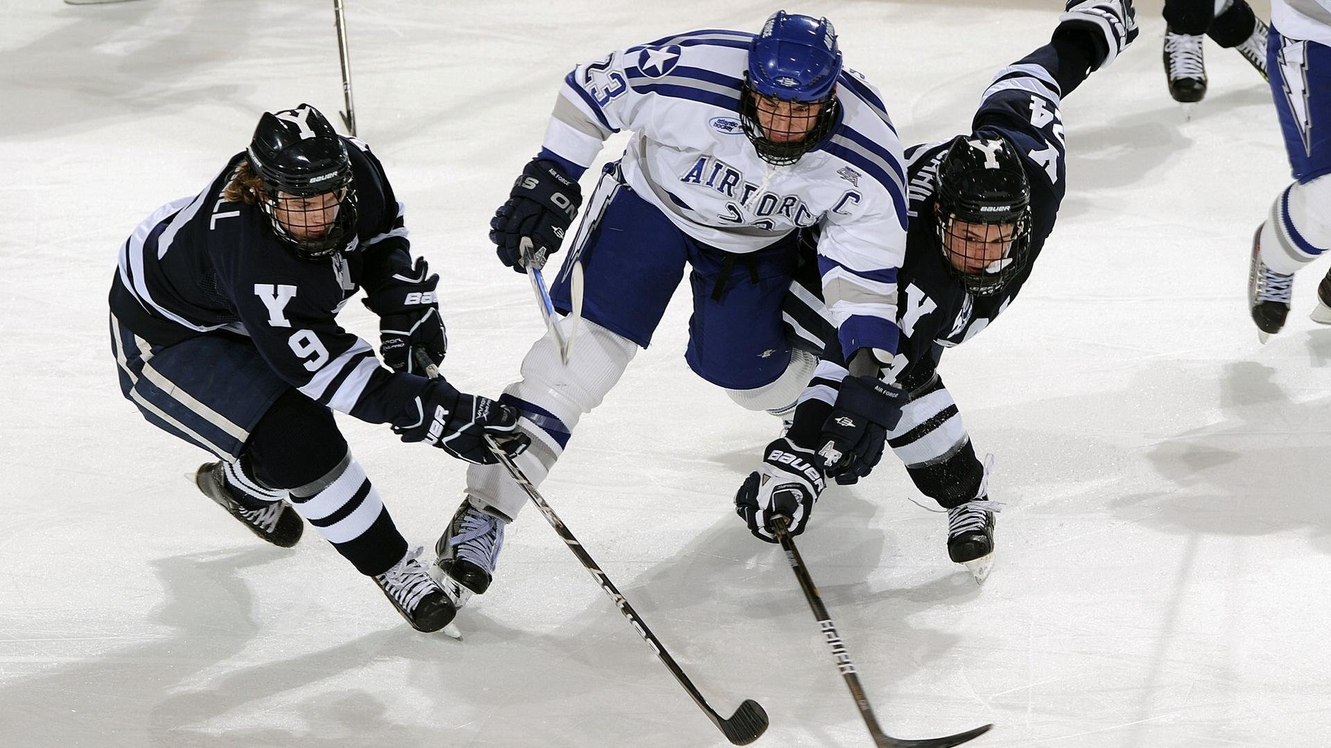 赛场激烈：上海队虽败犹荣，表现仍获得极高评价！，上海队夺冠